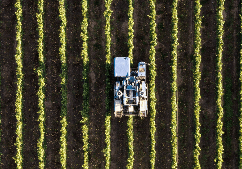 farms A tractor is seen from above driving between rows of crops on expansive farms, with evenly spaced green plants and dark soil visible.